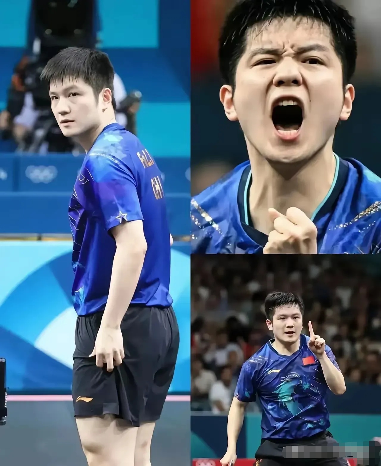 爱游戏tv-韩国队力克波兰队，樊振东统治全场