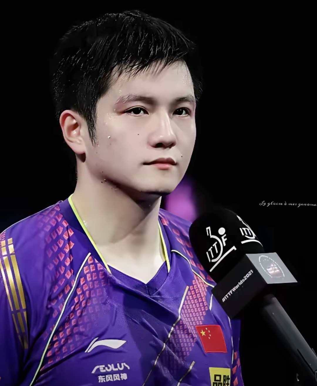 德国队碾压英格兰队,樊振东状态火热 德国队碾压英格兰队,樊振东状态火热