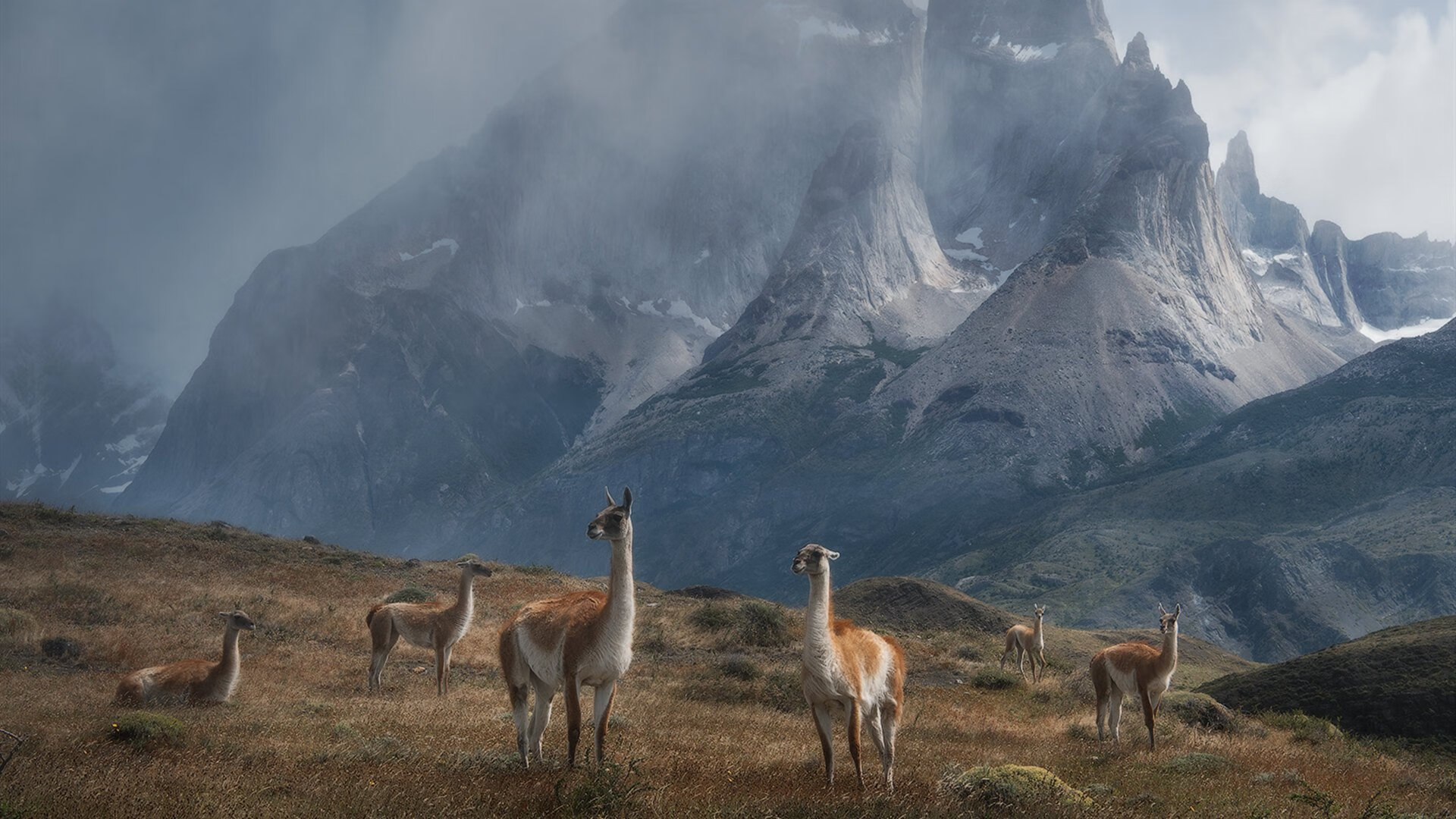 逆袭的脚本与统治的剧本,当马来西亚掀起风暴,陈雨菲定义火热
