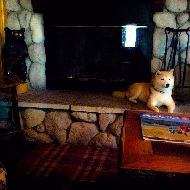 爱游戏下载-双线闪耀，皇家社会战术斩落紫百合，维尼修斯满分表演再证身价