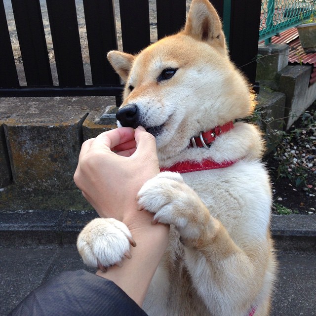 关灯的人,当勒布朗·詹姆斯让季后赛之夜提前进入垃圾时间