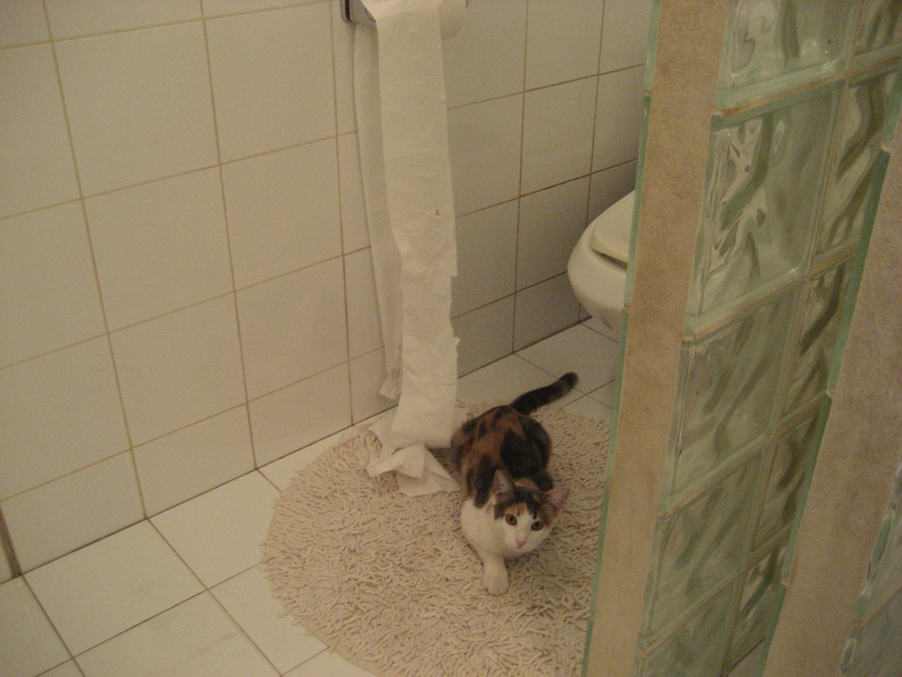 乌克兰绝杀AC米兰，奇迹的一夜