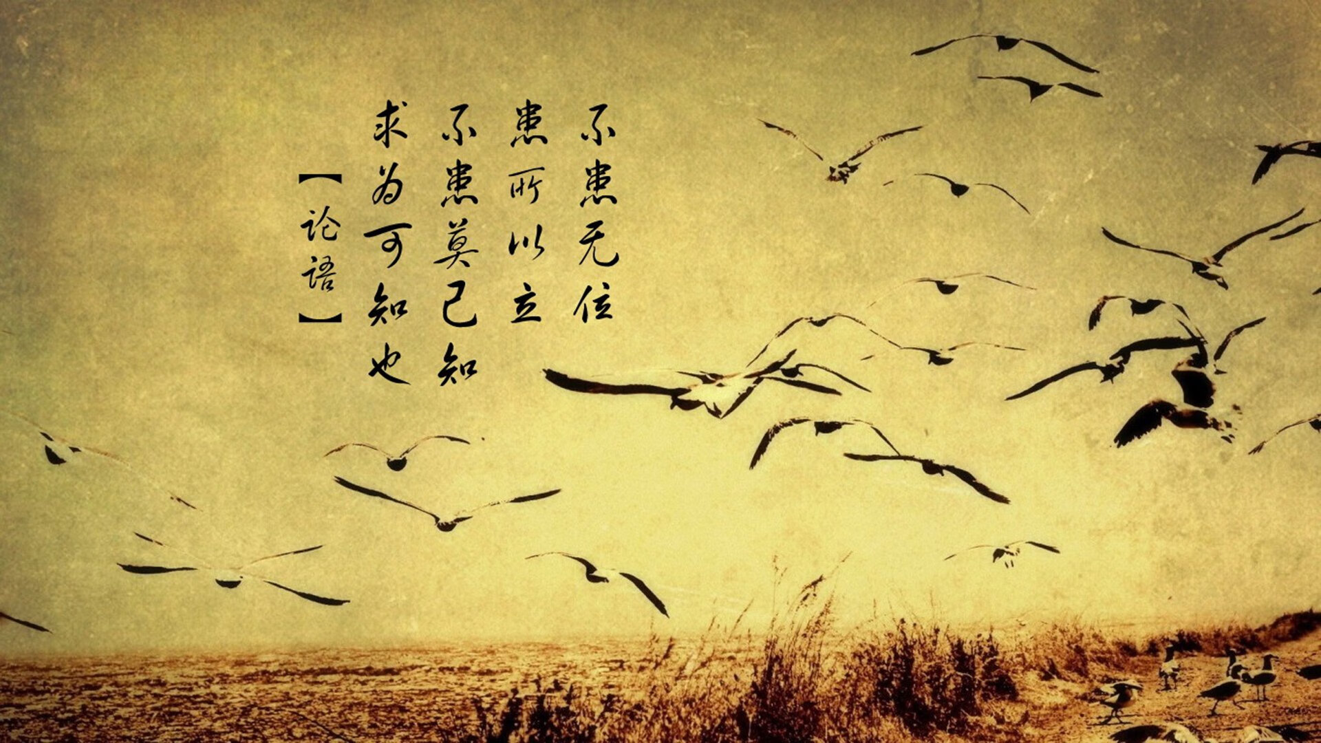 爱游戏APP-中场之神，美加墨世界杯之夜，罗德里如何用一粒进球完成铁血统治？