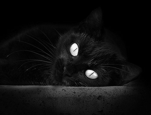 当历史重演，阿拉巴的45米弧线如何让欧冠半决赛提前落幕