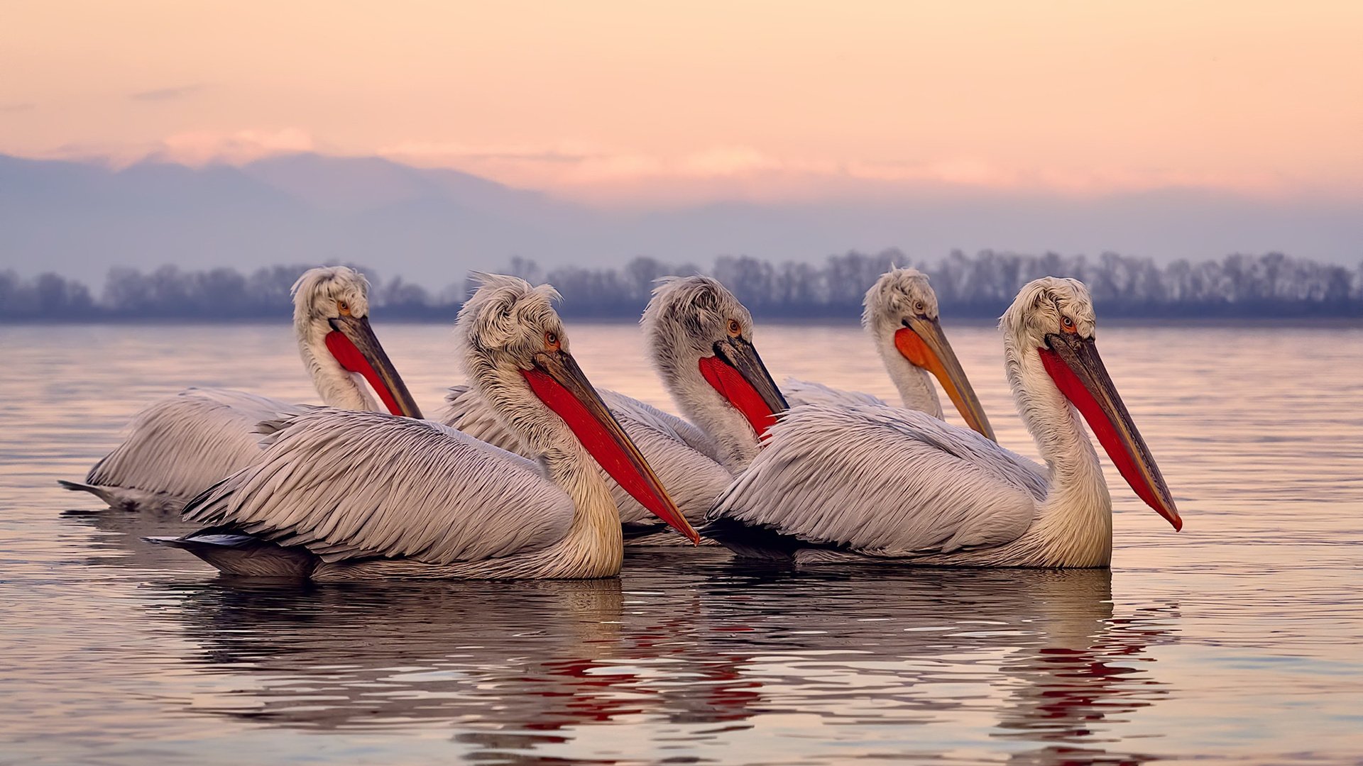 爱游戏在线-冰与火之歌，伊萨克用一脚踢碎智利足球的寒冬