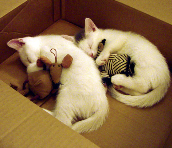 体育的唯一性，当马里拉开比分，伊布接管比赛