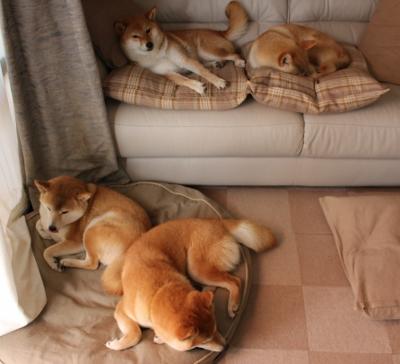 拉梅洛的华丽与东契奇的冷酷，双星映照下的决胜局英雄主义