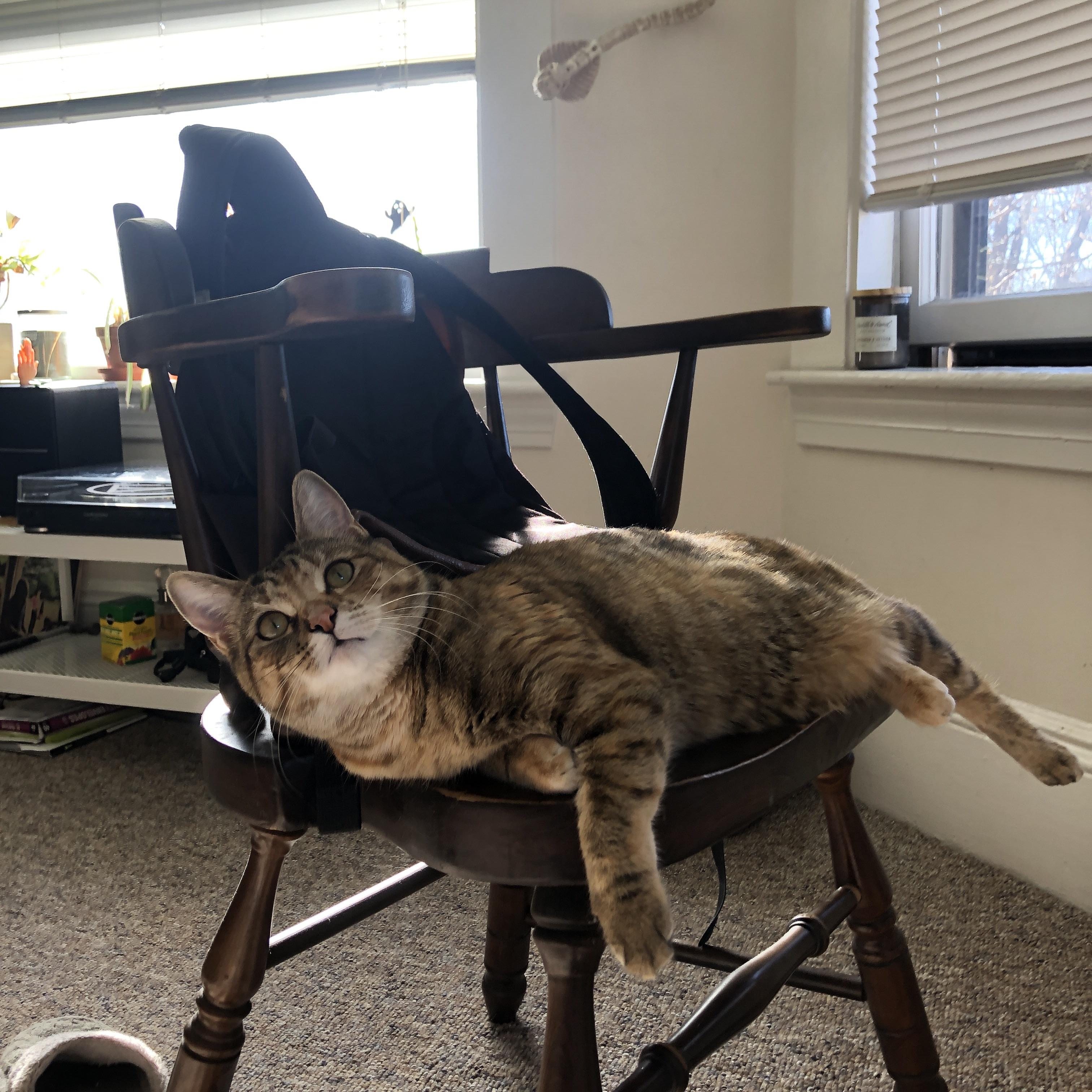 爱游戏下载-跨联赛的防守课，快船如何给广东队上一堂现代防守课？英格拉姆的硬仗哲学