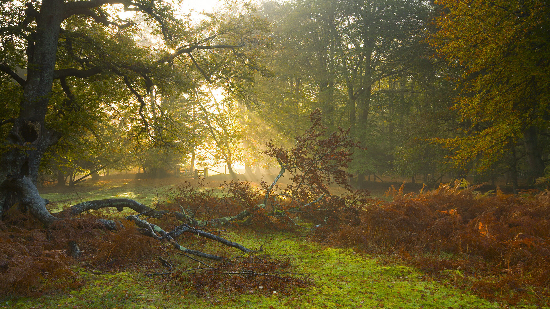 冠军试金石，东决关键战新疆逆袭老鹰实录