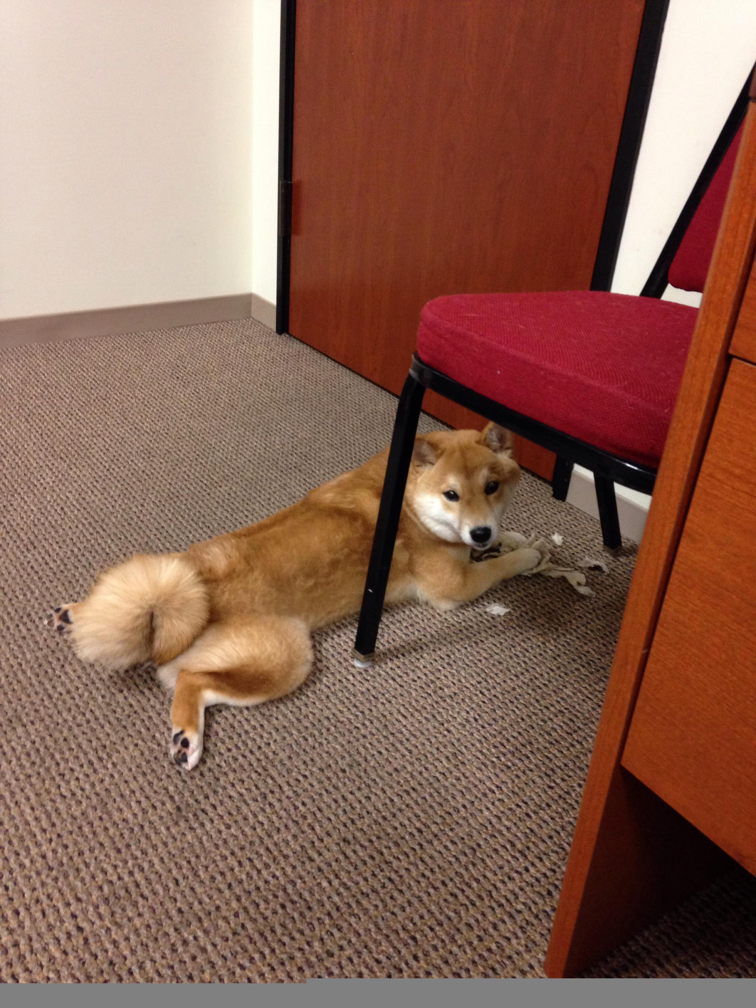 爱游戏官方-唯一性，当哈利伯顿将欧冠决赛变成个人传奇之夜