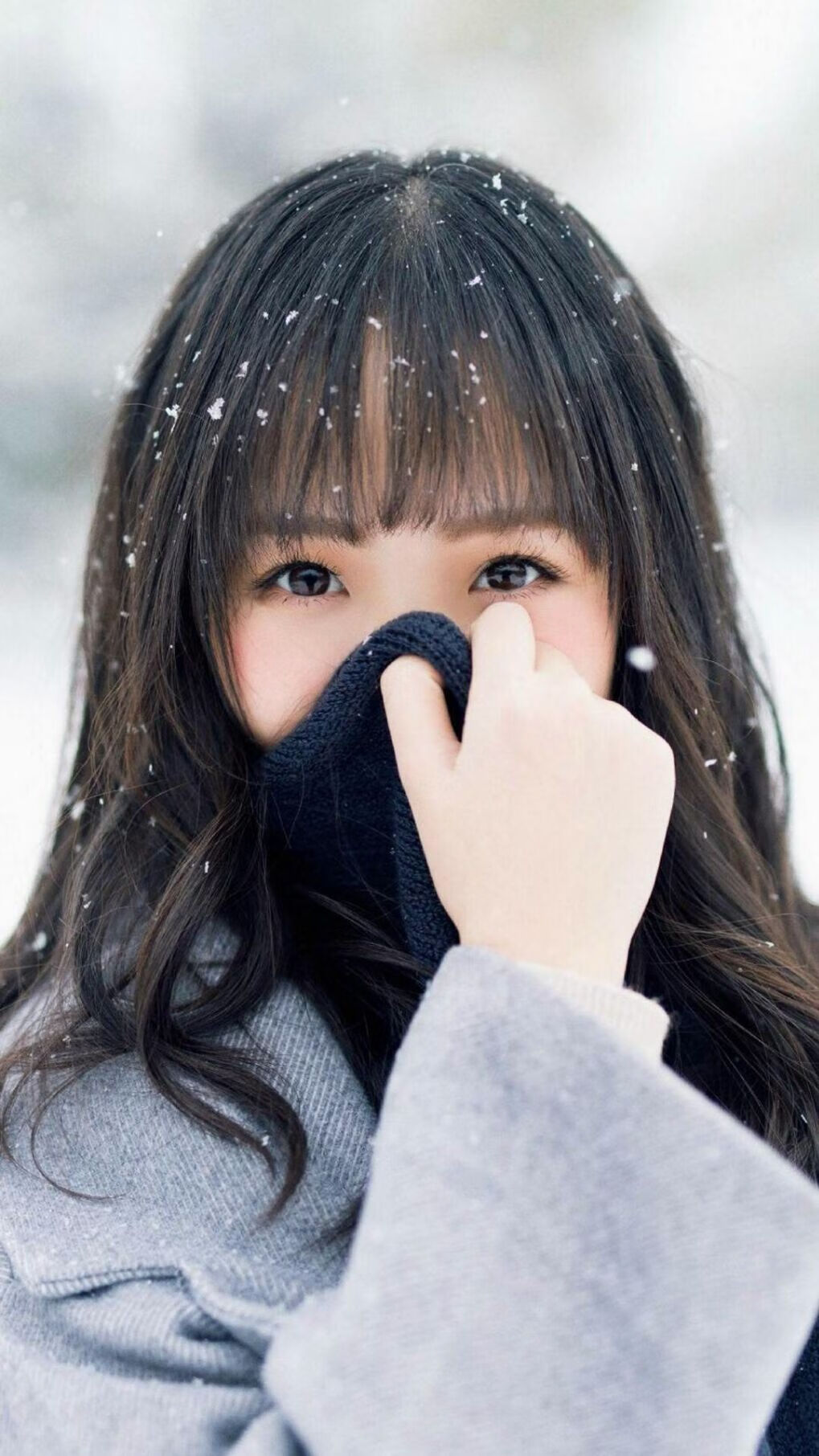 孤星耀世,2026世界杯巅峰对决,印度完胜卡塔尔,坎塞洛完成致命一击
