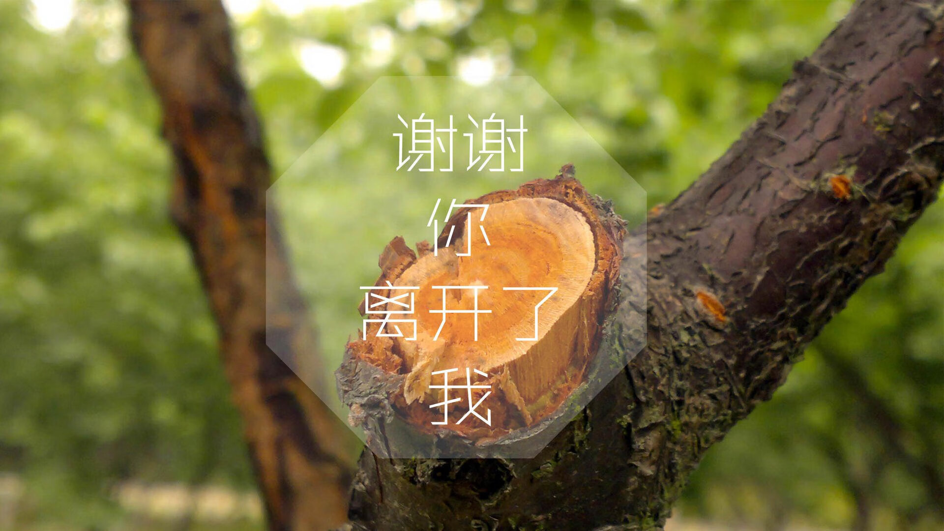 B组暗战，当赤道之鹰遇见非洲雄狮，奥斯梅恩用一瞬流光撕开僵局